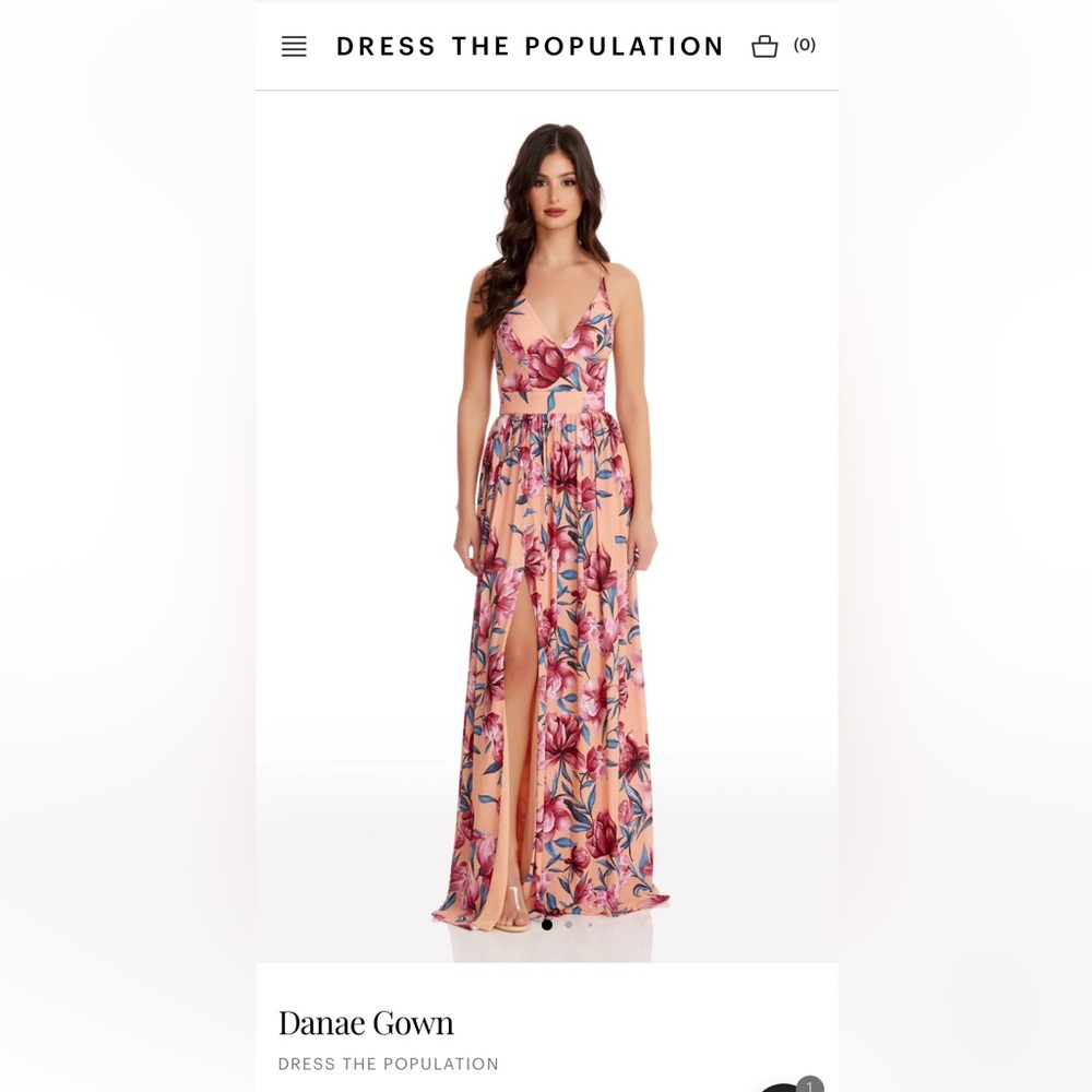 Dress the Population Danae Gown